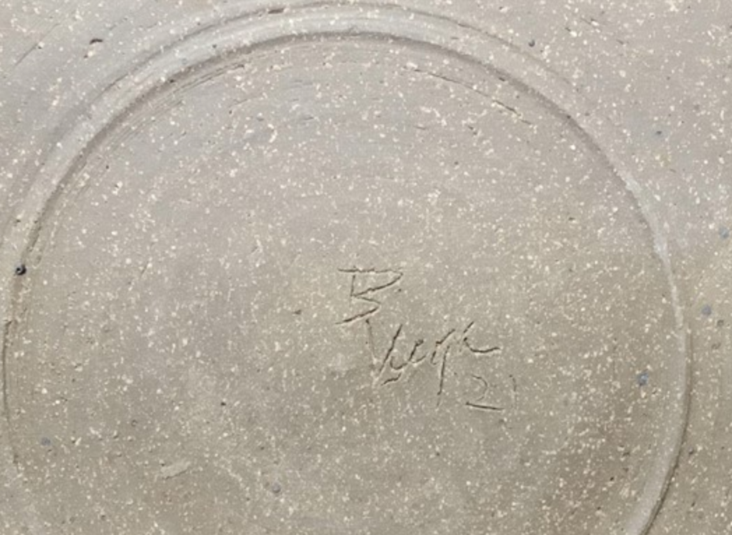 Vintage Vega Pottery Plate 10"
