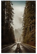 Path Least Taken. 40"w x 60"h