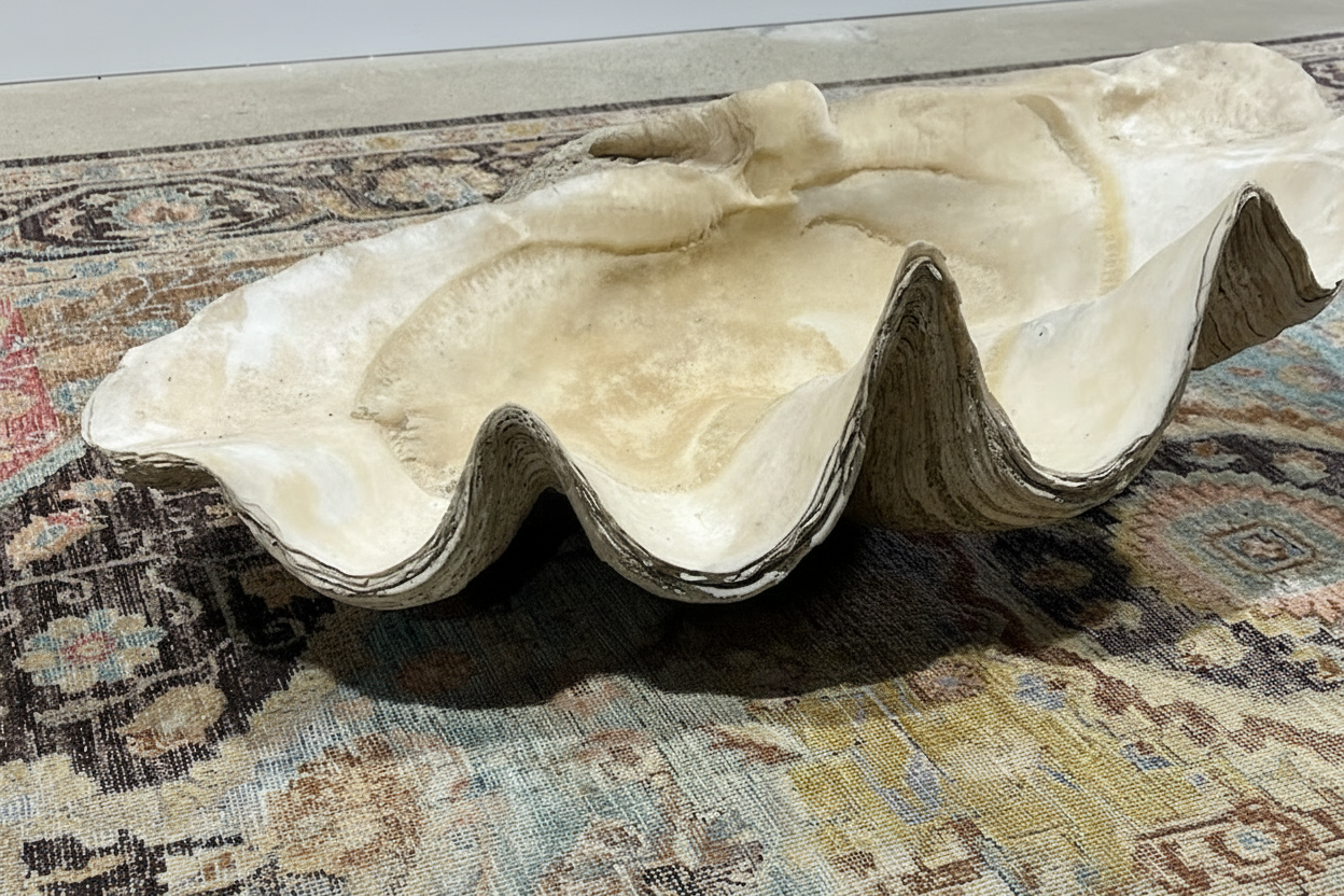 Giant Clamshell 36"x 21" x 13" H