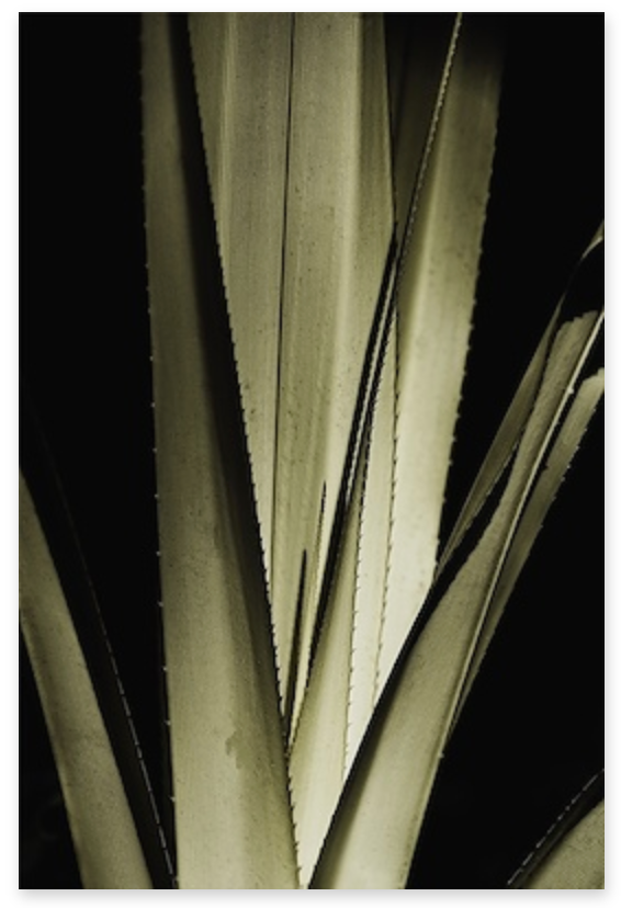 Borocco Pair II 30x45