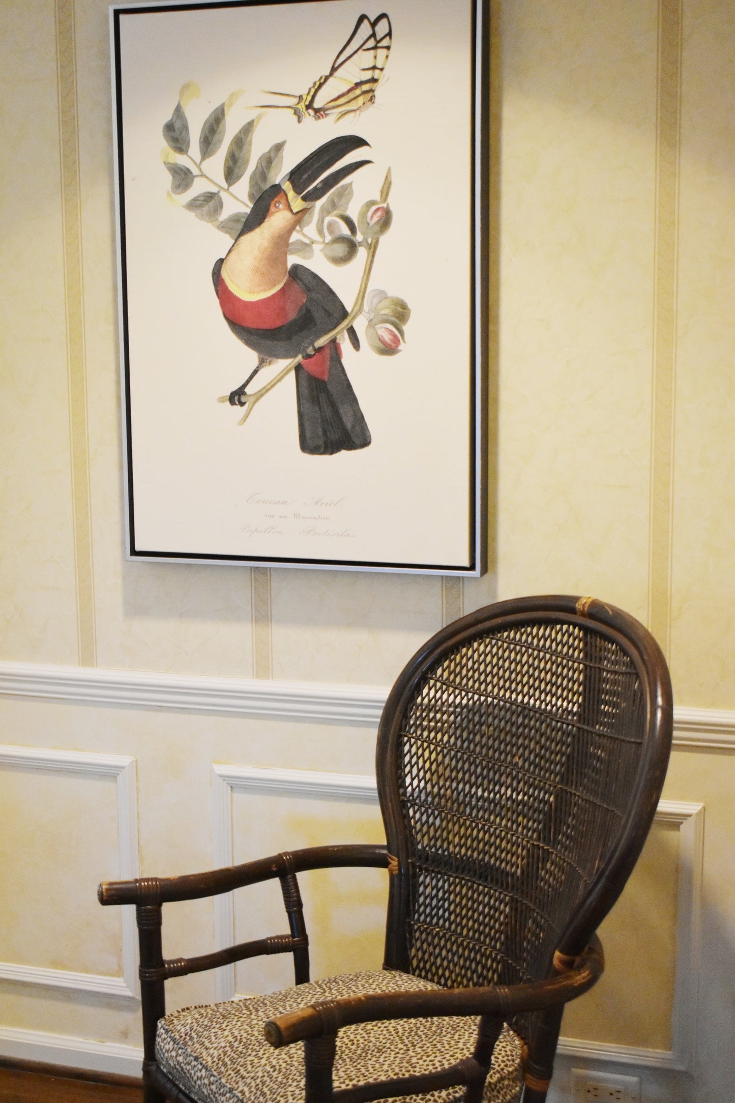 Vintage Cain Peacock Chair