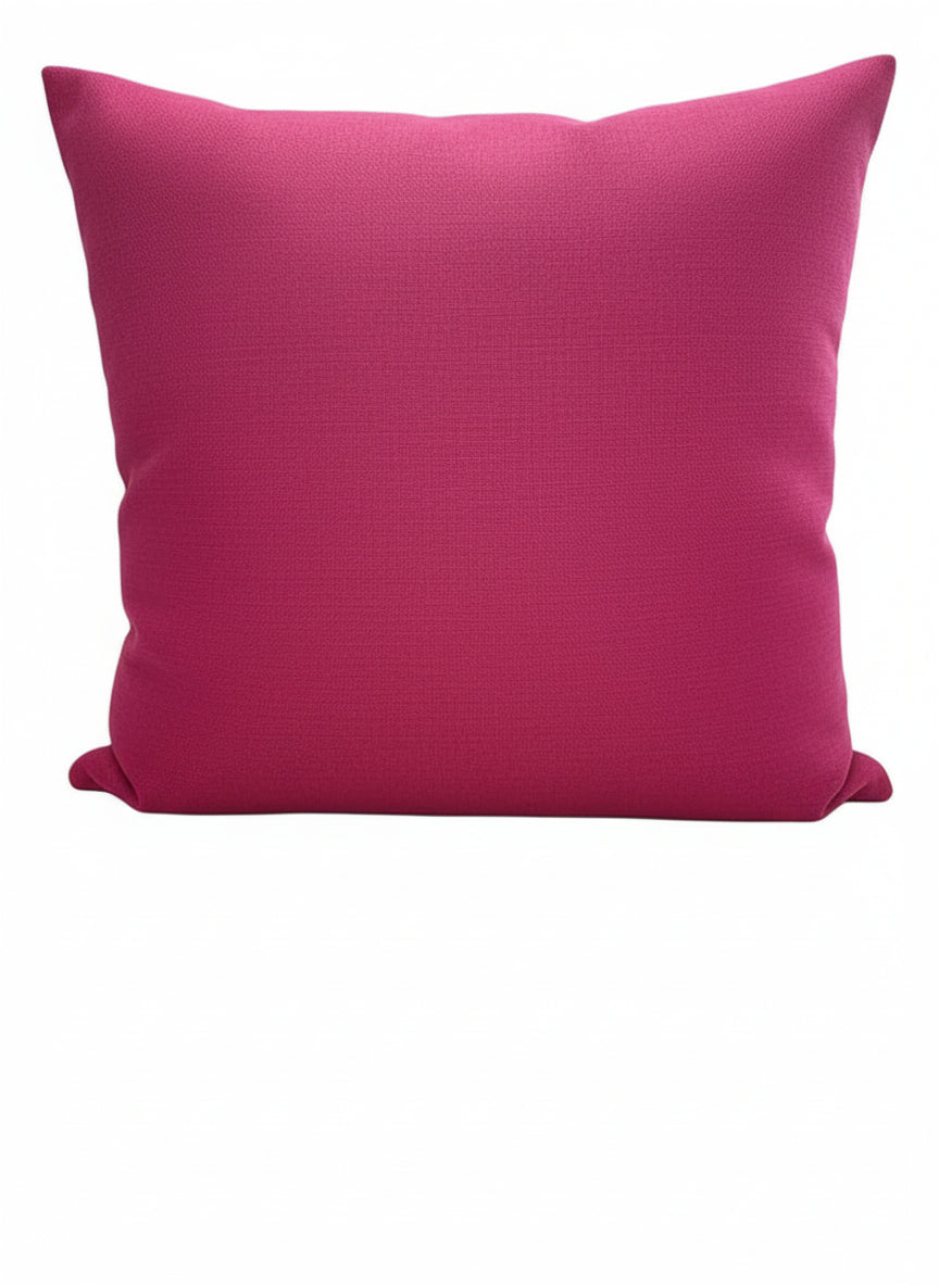 Black Zebra/Pink Pillow
