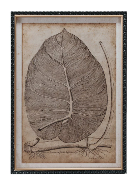 Whisperleaf